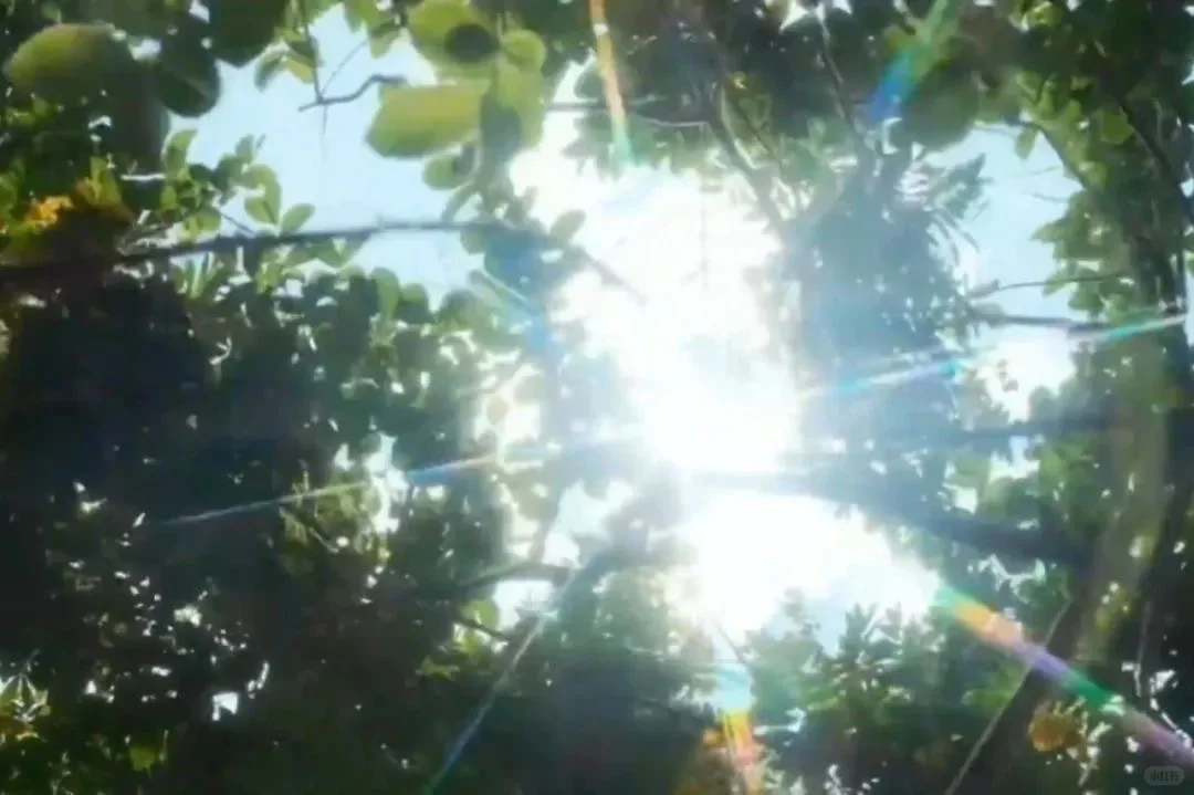 𝑺𝒉𝒂𝒓𝒆 | 超美的ipad平板壁纸