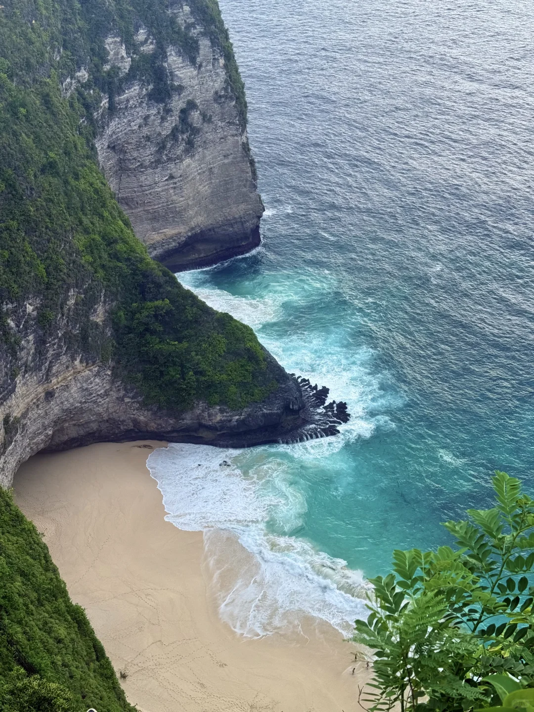 只投身于爱我的那片海🩵精灵坠崖𓇼 𓂂𓈒🦋