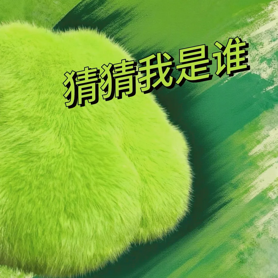 Dudu cozy新成员🎉