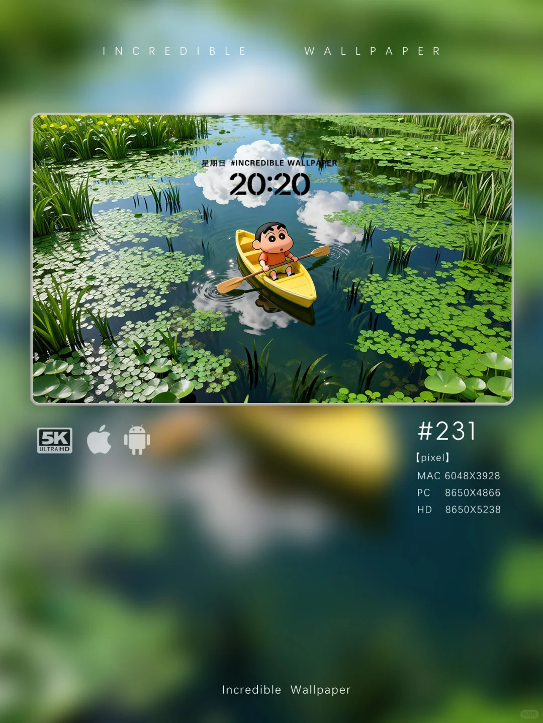 池塘泛舟，云影与睡莲之约｜蜡笔小新｜231