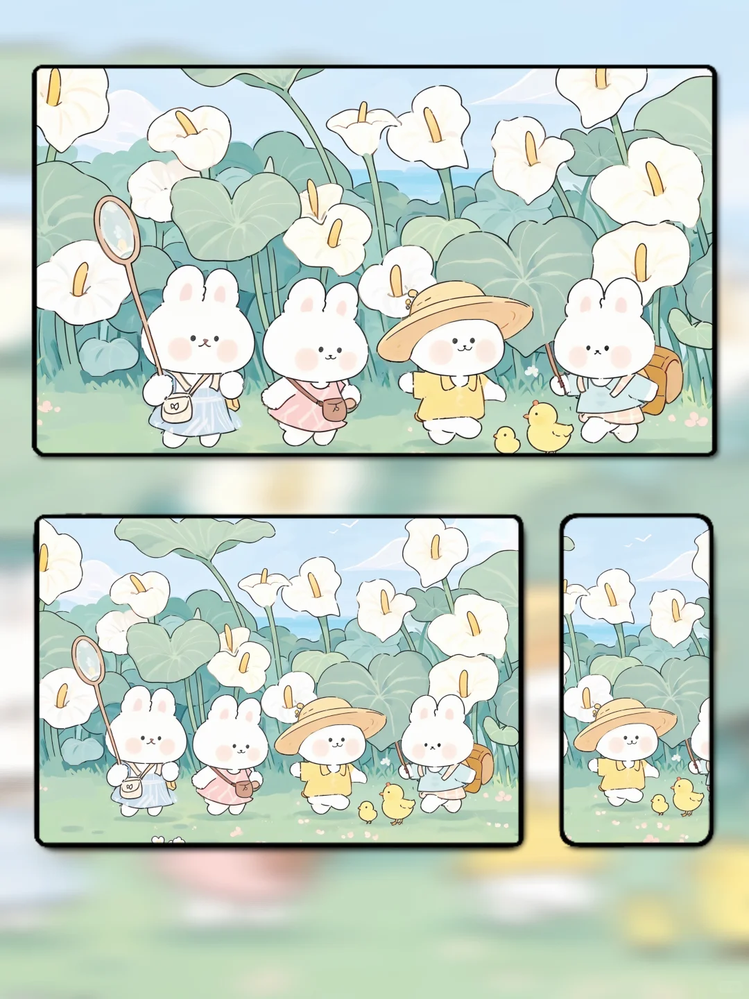 十一月啦～该换个壁纸了喂🌸