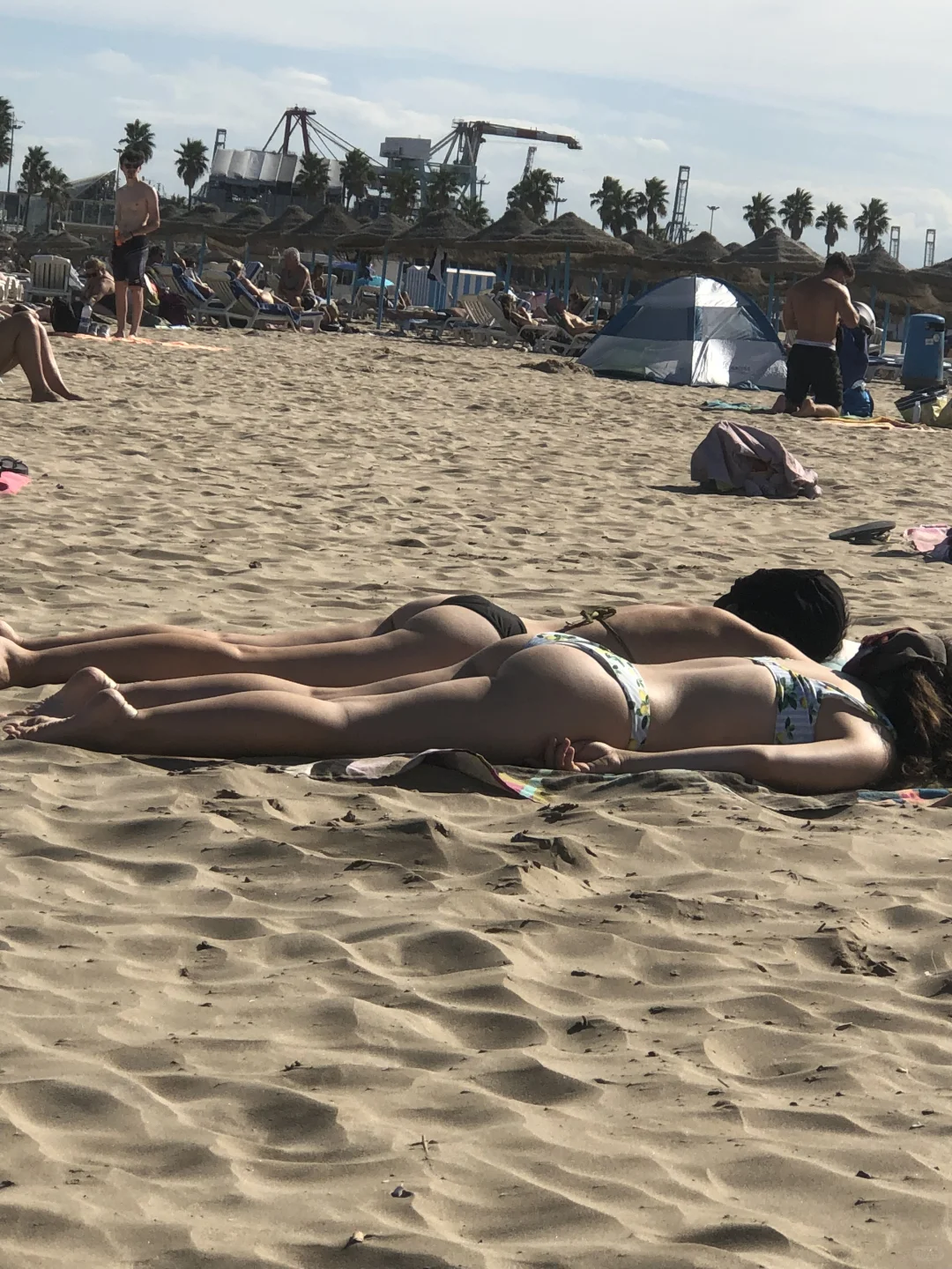 瓦伦西亚海边沙滩上晒太阳的比基尼美女