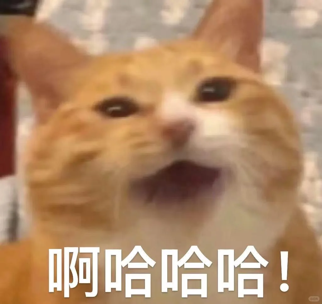 今天的舞蹈也格外的扭扭呢