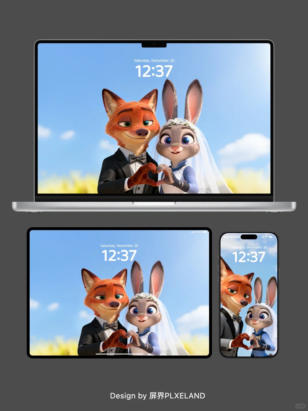 动态壁纸｜尼克和朱迪镜头比心❤️