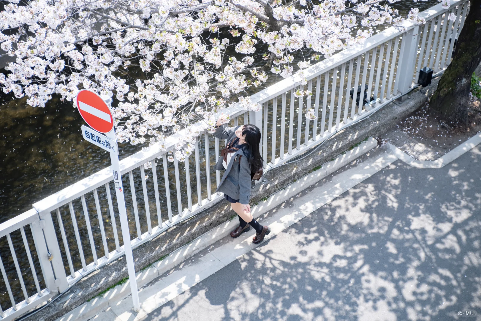 国产镜头已经next level了◾七工匠35㎜1.4