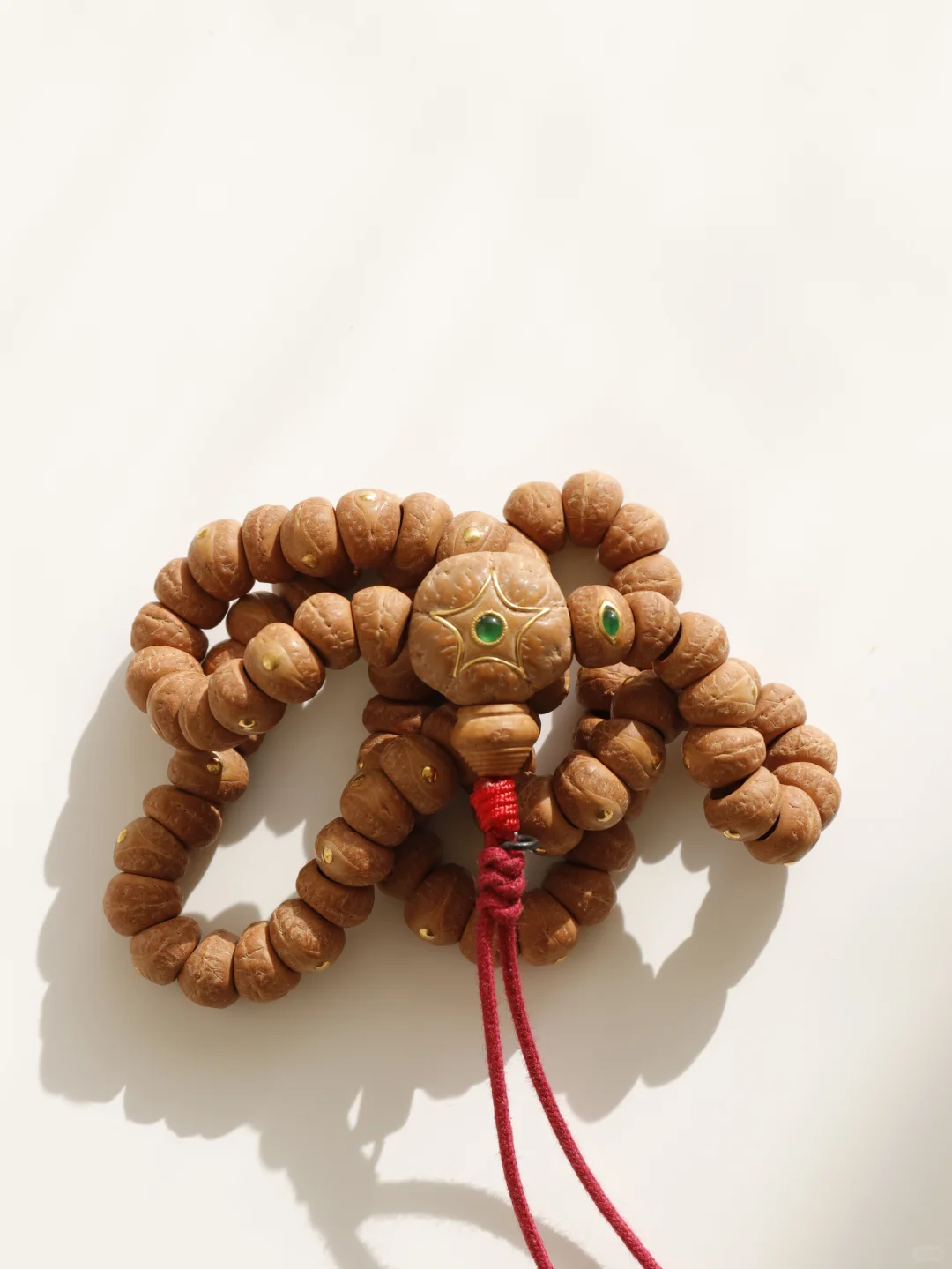 玉化皮质的凤眼大肠