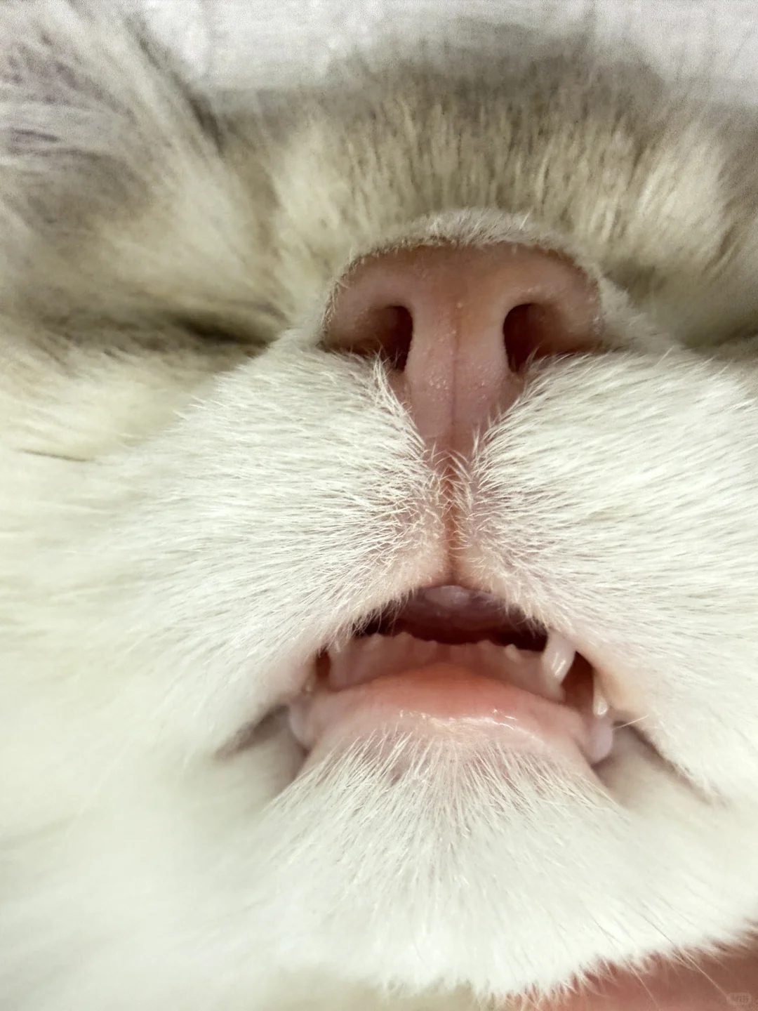 谁教你这样睡觉的