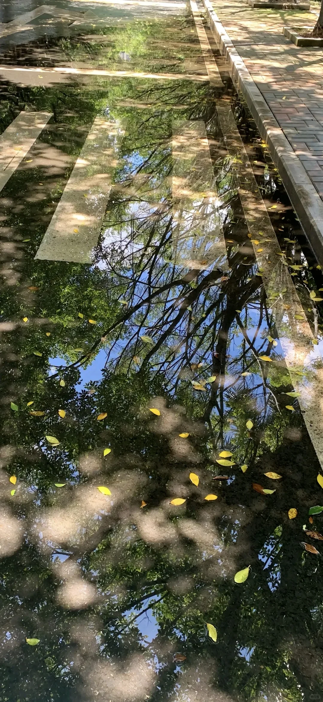 ins风小众氛围感壁纸(´∀`)