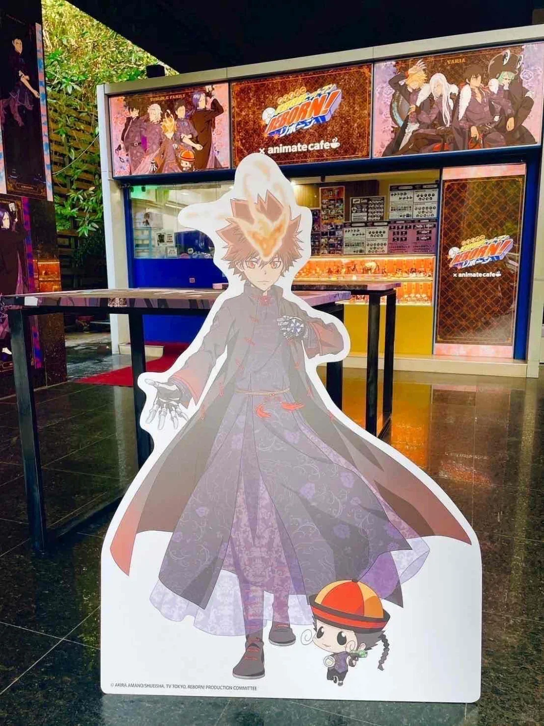 家教a咖麻将再度来袭