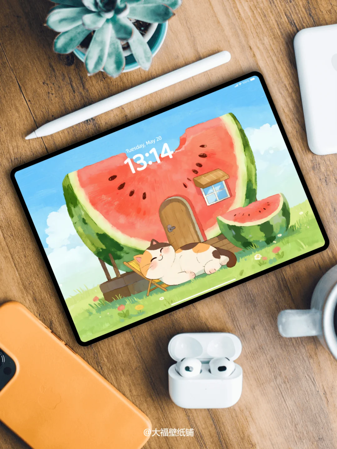 平板壁纸丨16丨西瓜屋与猫