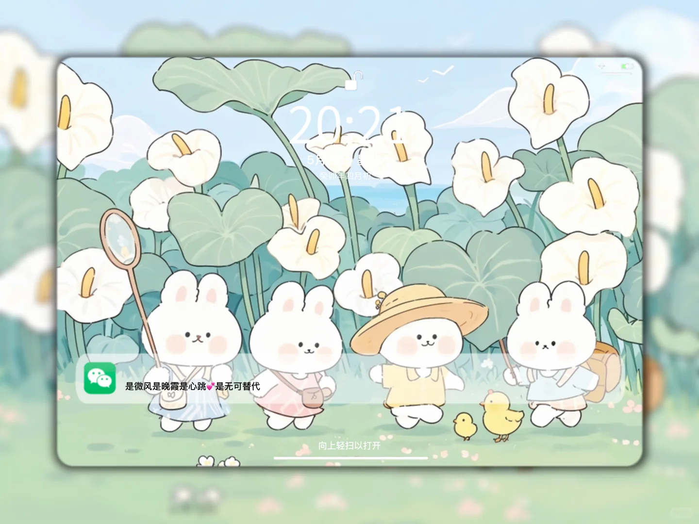 十一月啦～该换个壁纸了喂🌸