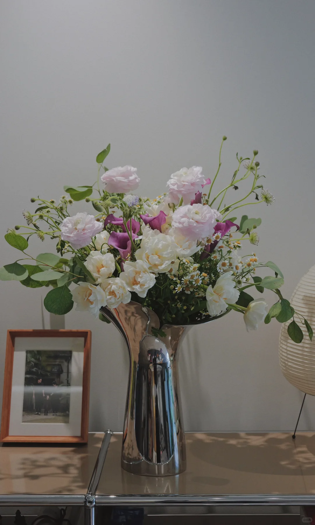 优秀的重瓣郁金香