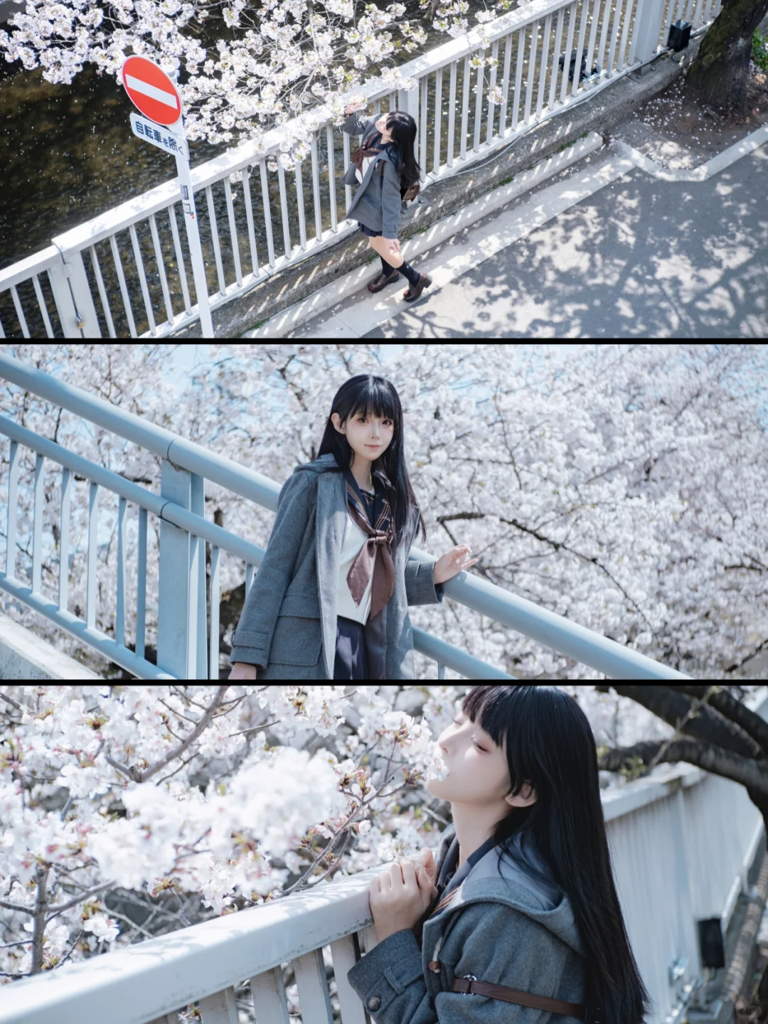 国产镜头已经next level了◾七工匠35㎜1.4