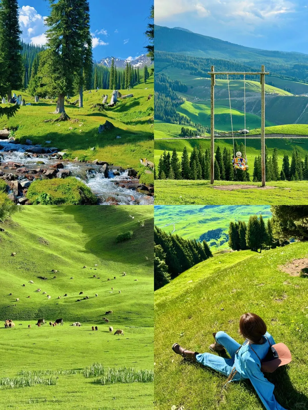 新疆包车游🔥满足你对旅行的所有期待