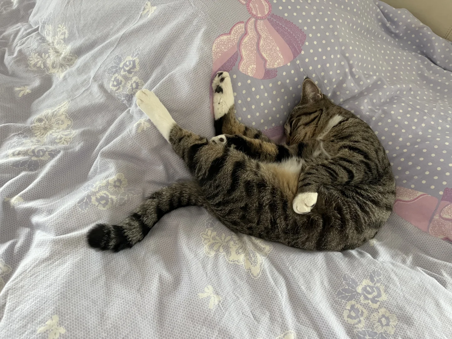 各种妖娆的睡姿😂