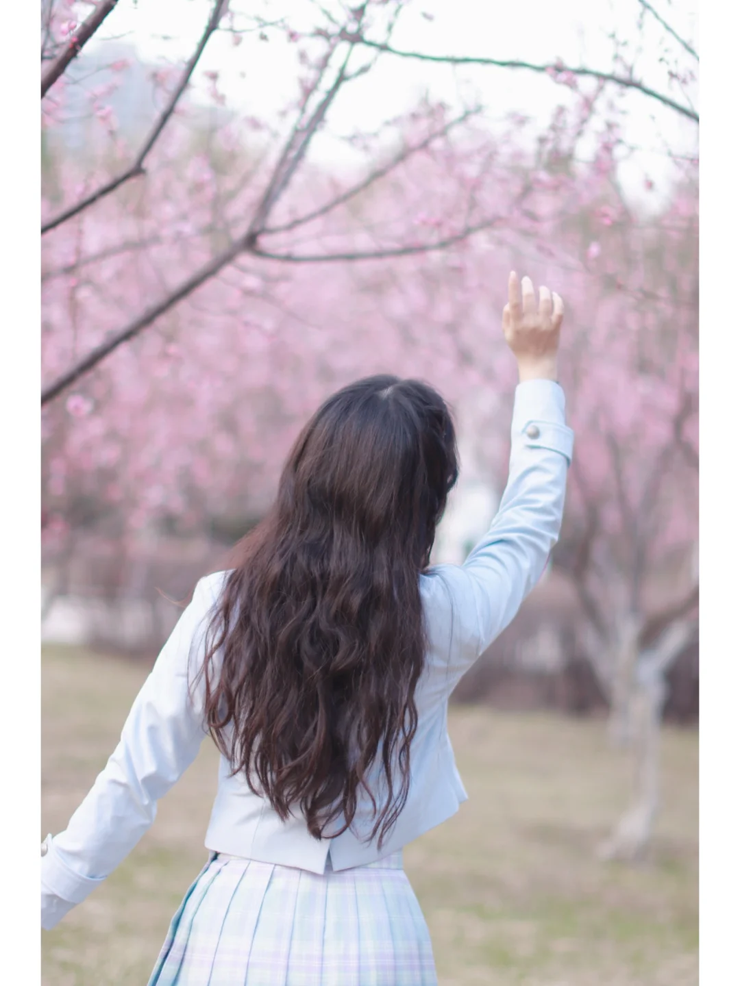 春日限定女主角 赴来自春天的约会！！