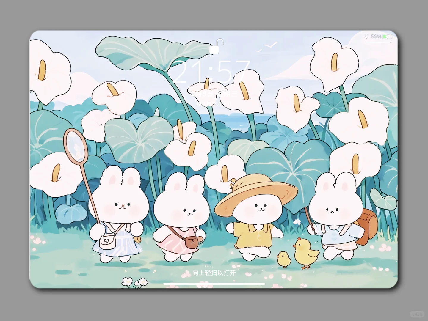 十一月啦～该换个壁纸了喂🌸