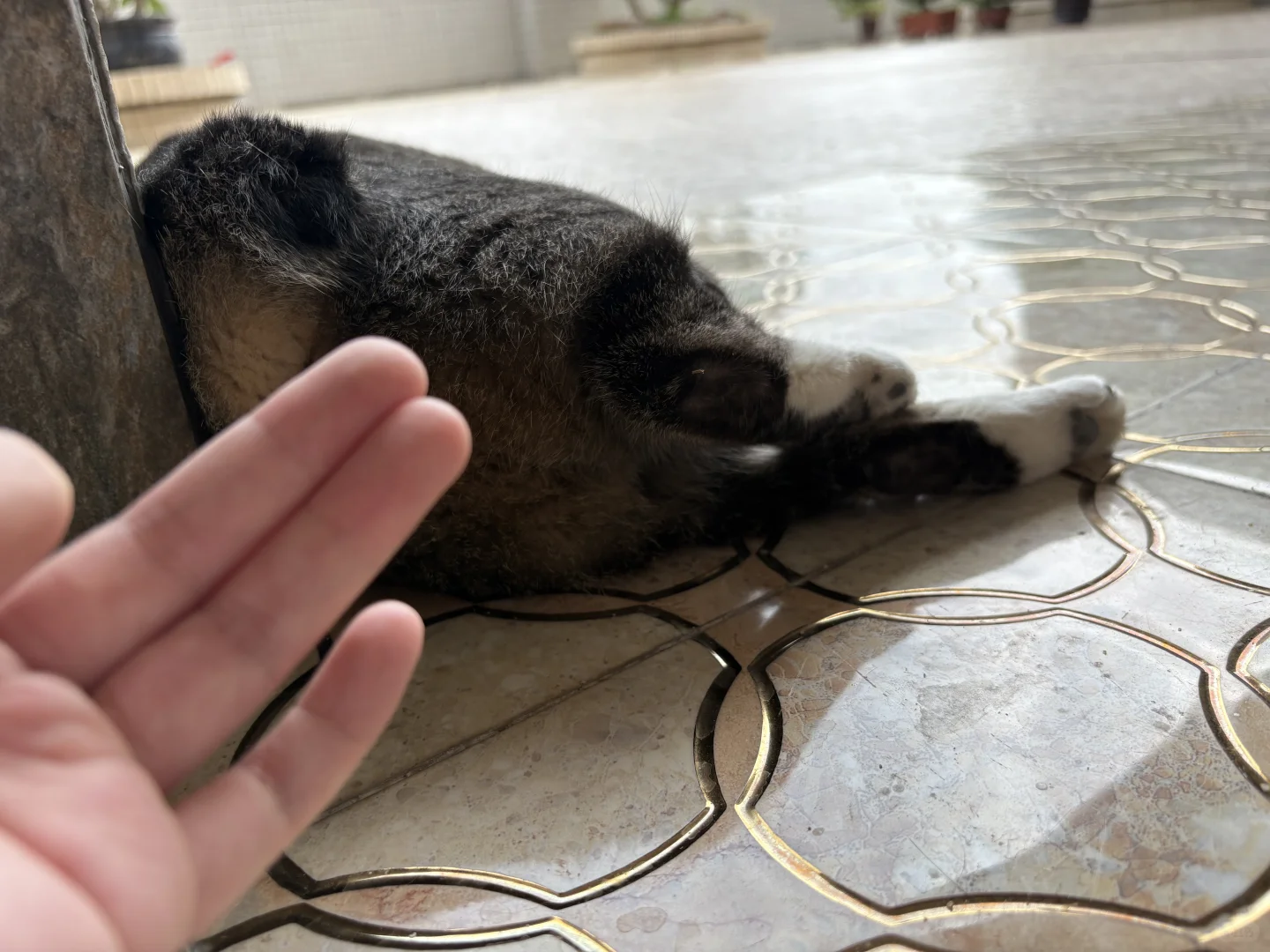 周末的快乐源于