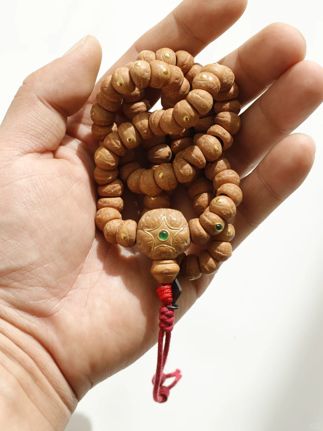 玉化皮质的凤眼大肠