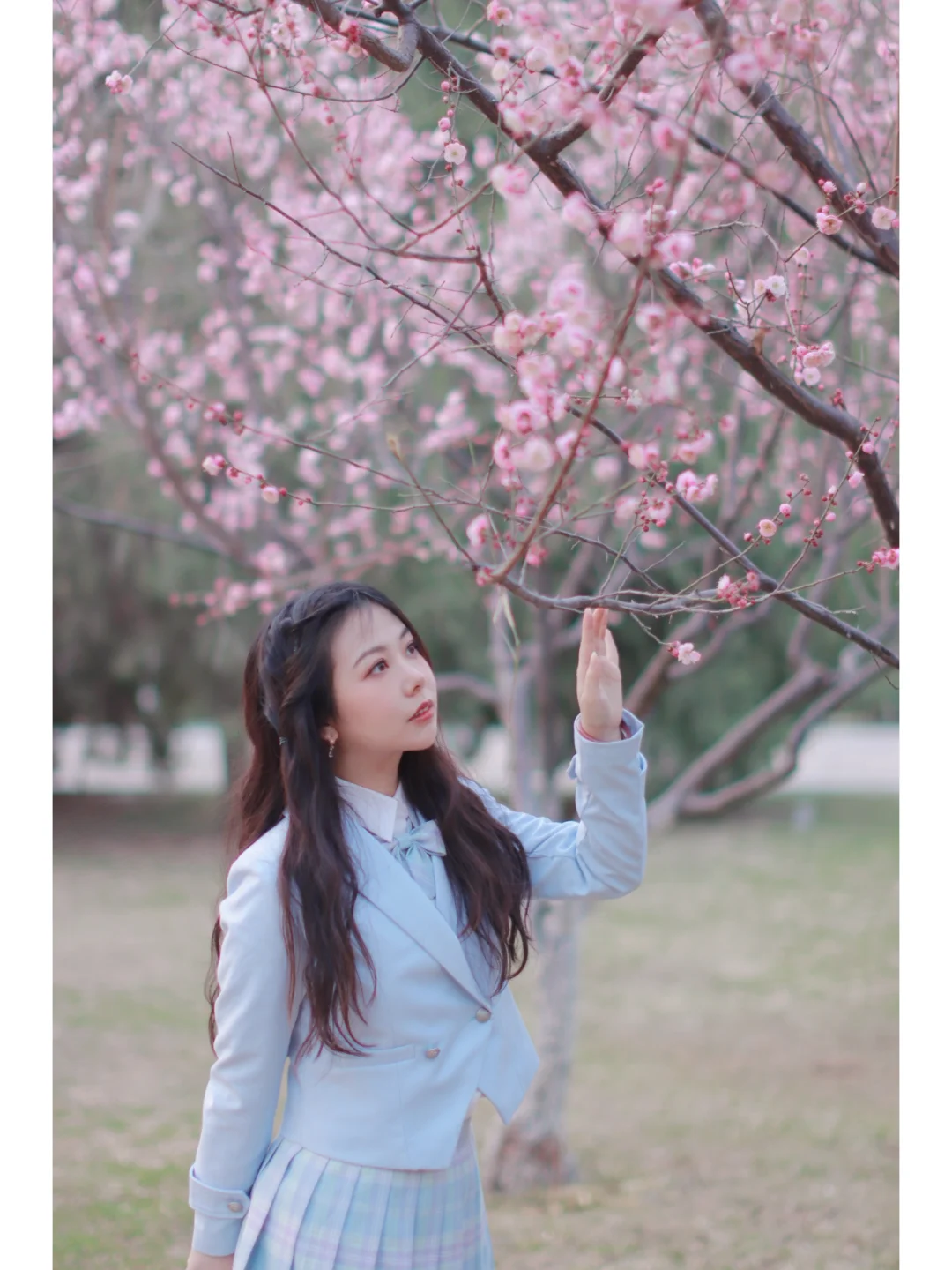 春日限定女主角 赴来自春天的约会！！