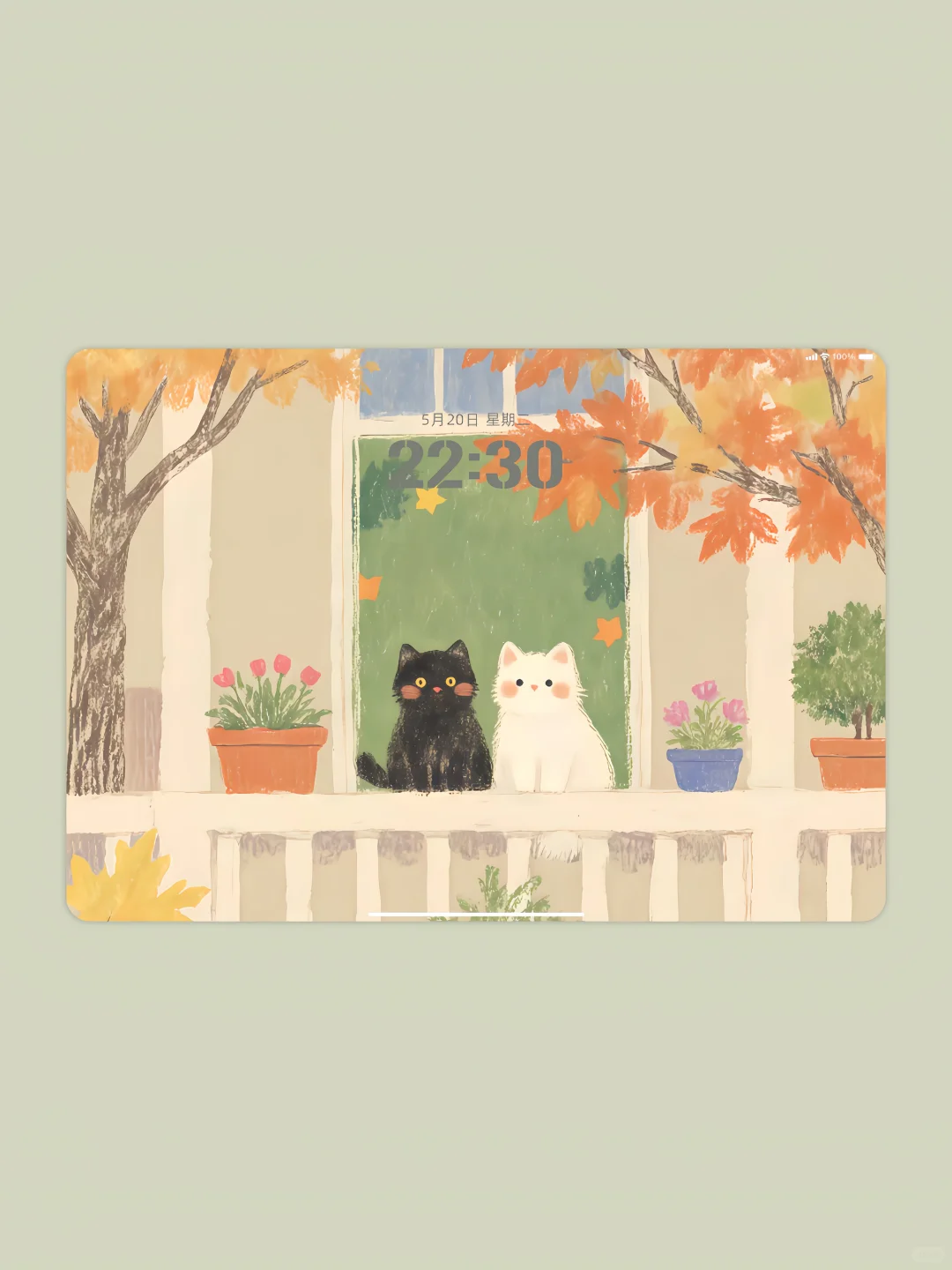 iPad壁纸•横竖通用 | 秋天🍂四只猫