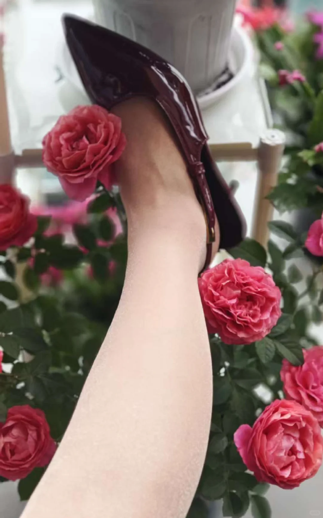 真的超级喜欢金光闪闪的袜子💃💃💃