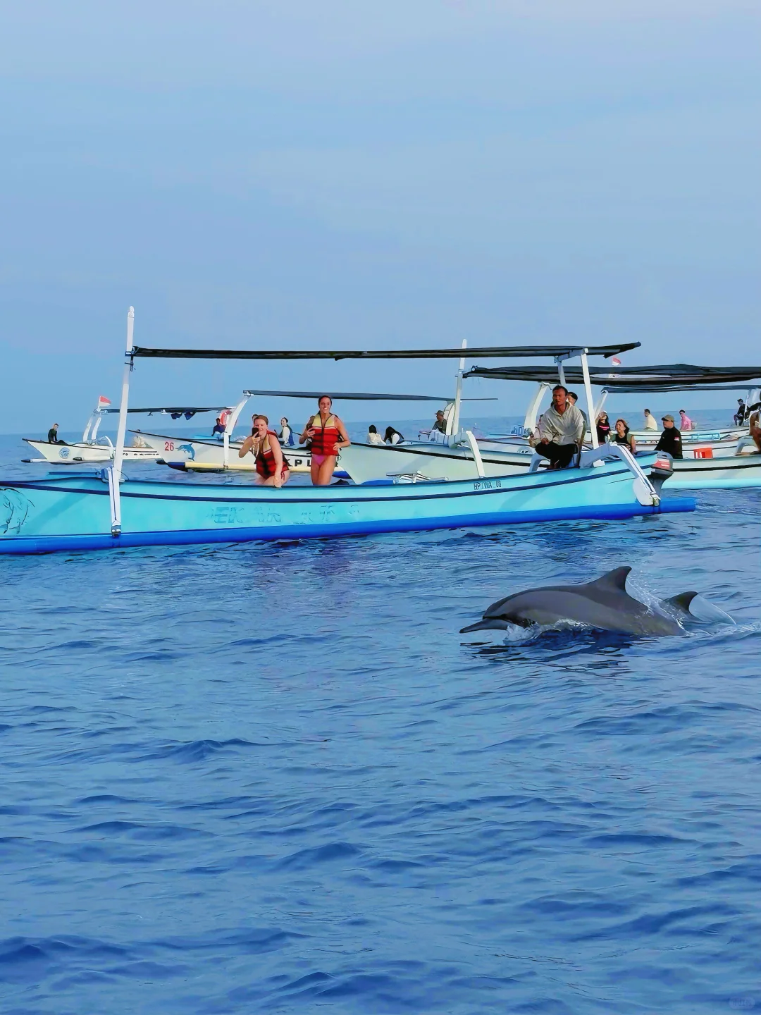 𝑳𝒐𝒗𝒊𝒏𝒂🐬 凌晨五点 迎着日出🌅追海豚