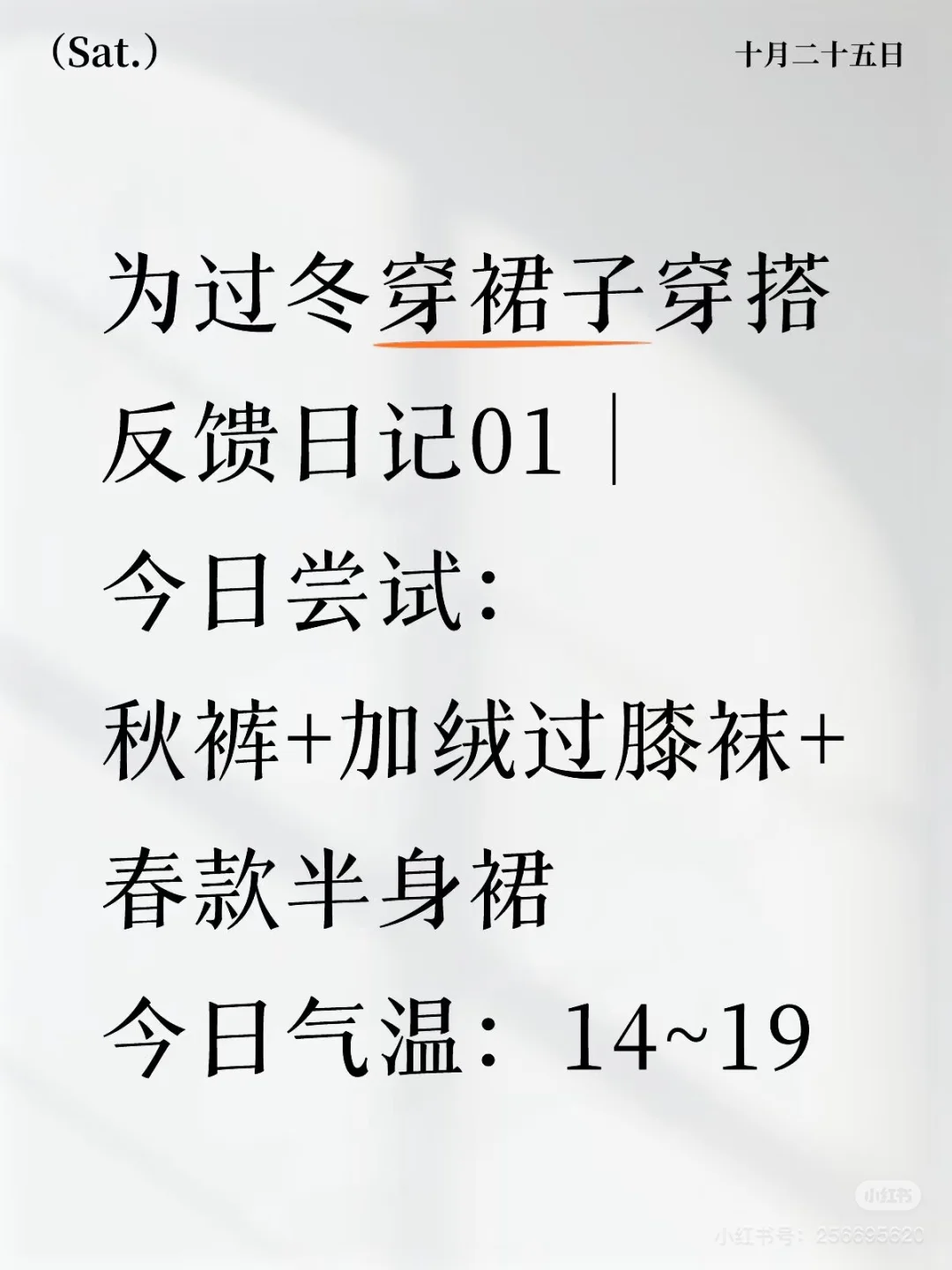 冬日裙搭❄️实验反馈日记01:秋裤+过膝袜