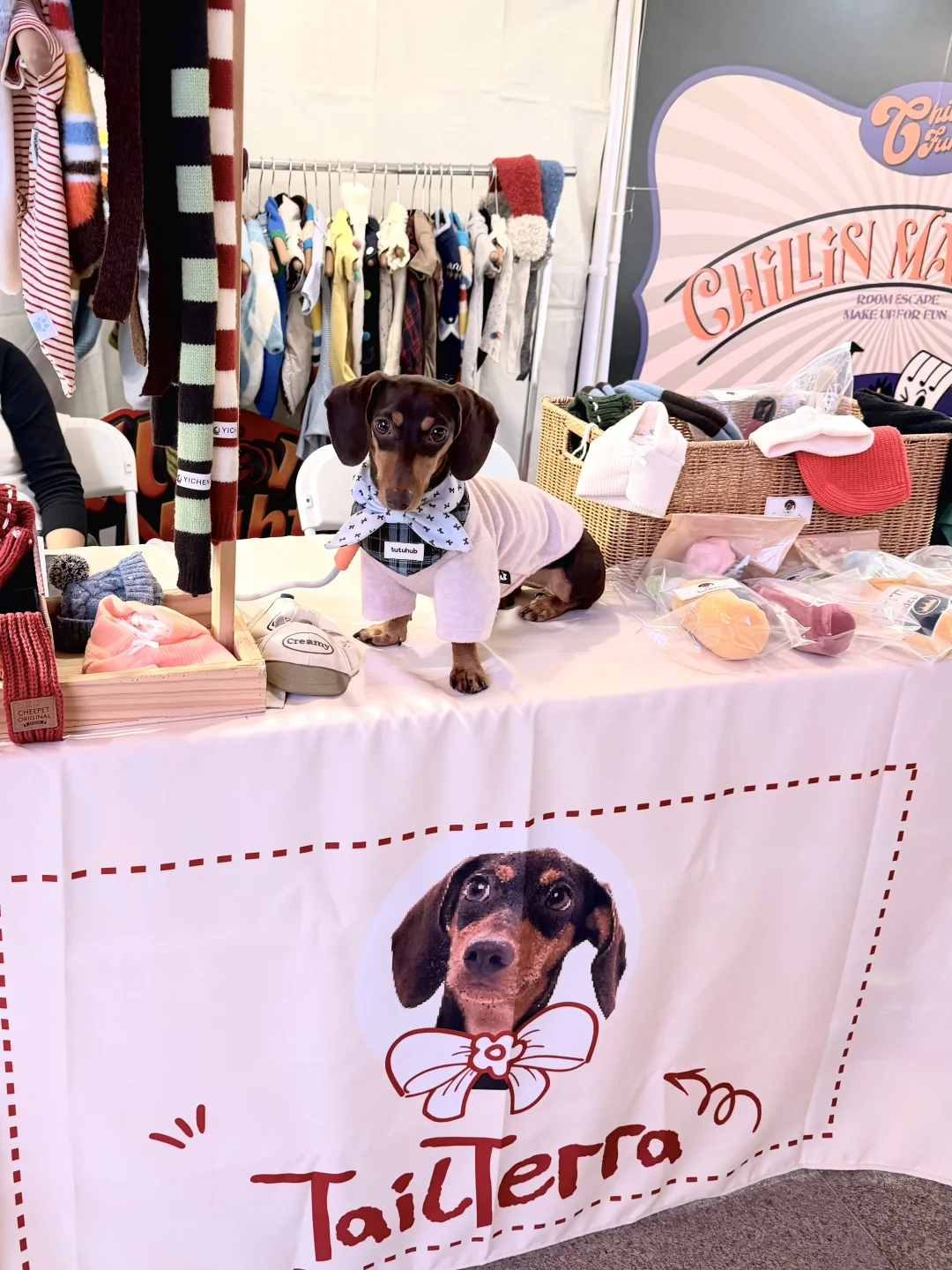 宠物服装TailTerra亮相四海城 🧣