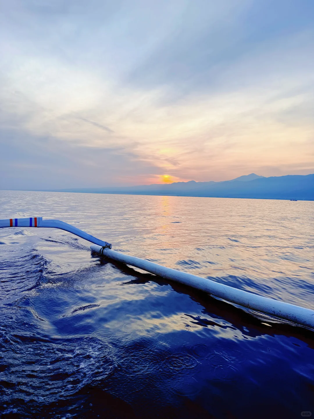 𝑳𝒐𝒗𝒊𝒏𝒂🐬 凌晨五点 迎着日出🌅追海豚