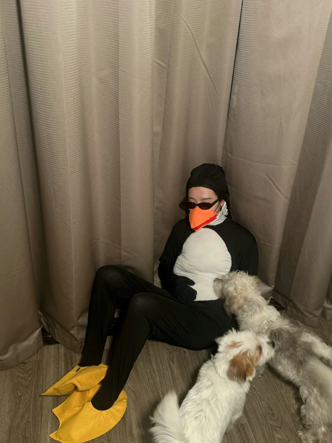 高雅人士起舞中…