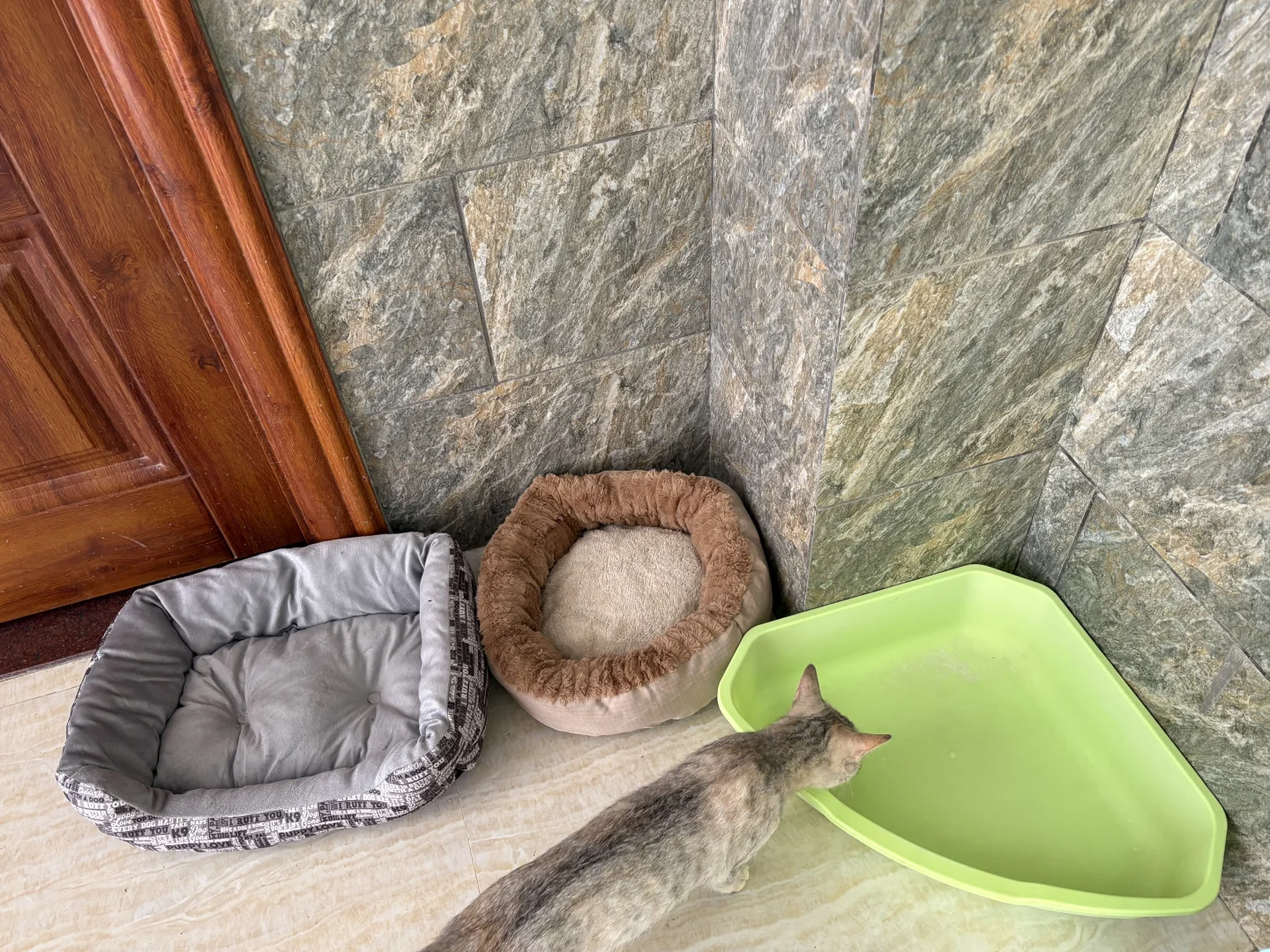 周末的快乐源于