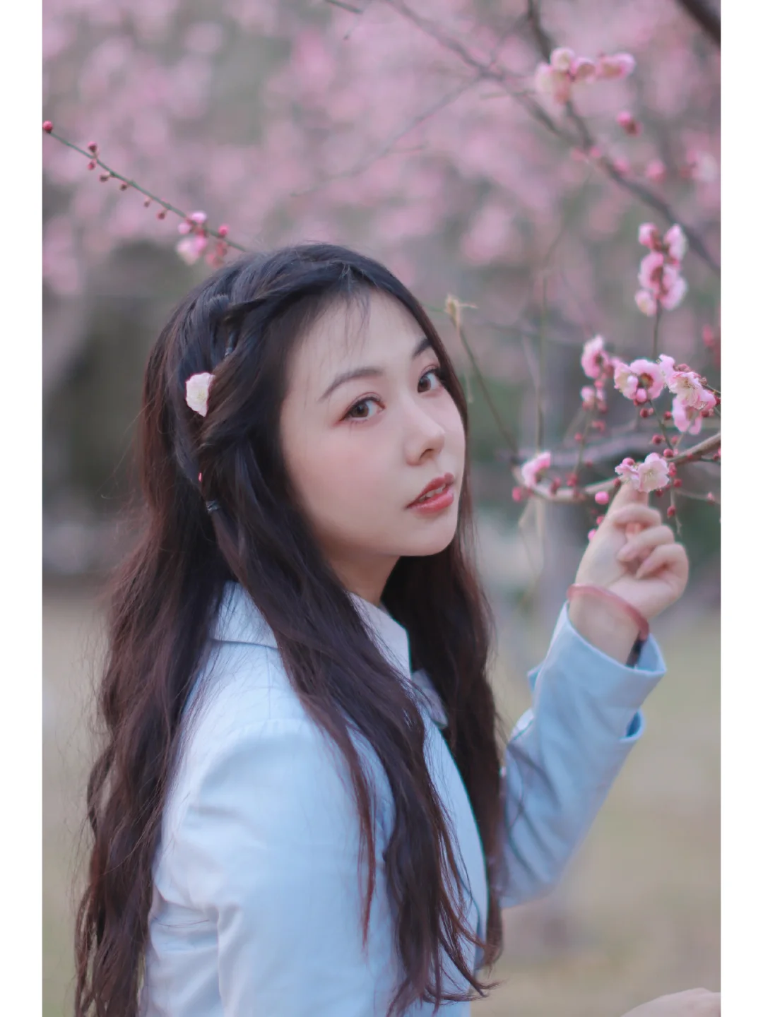 春日限定女主角 赴来自春天的约会！！