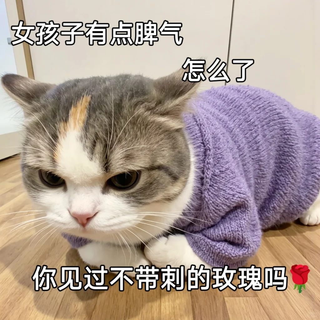 聊天专用猫咪可爱搞笑情侣表情包