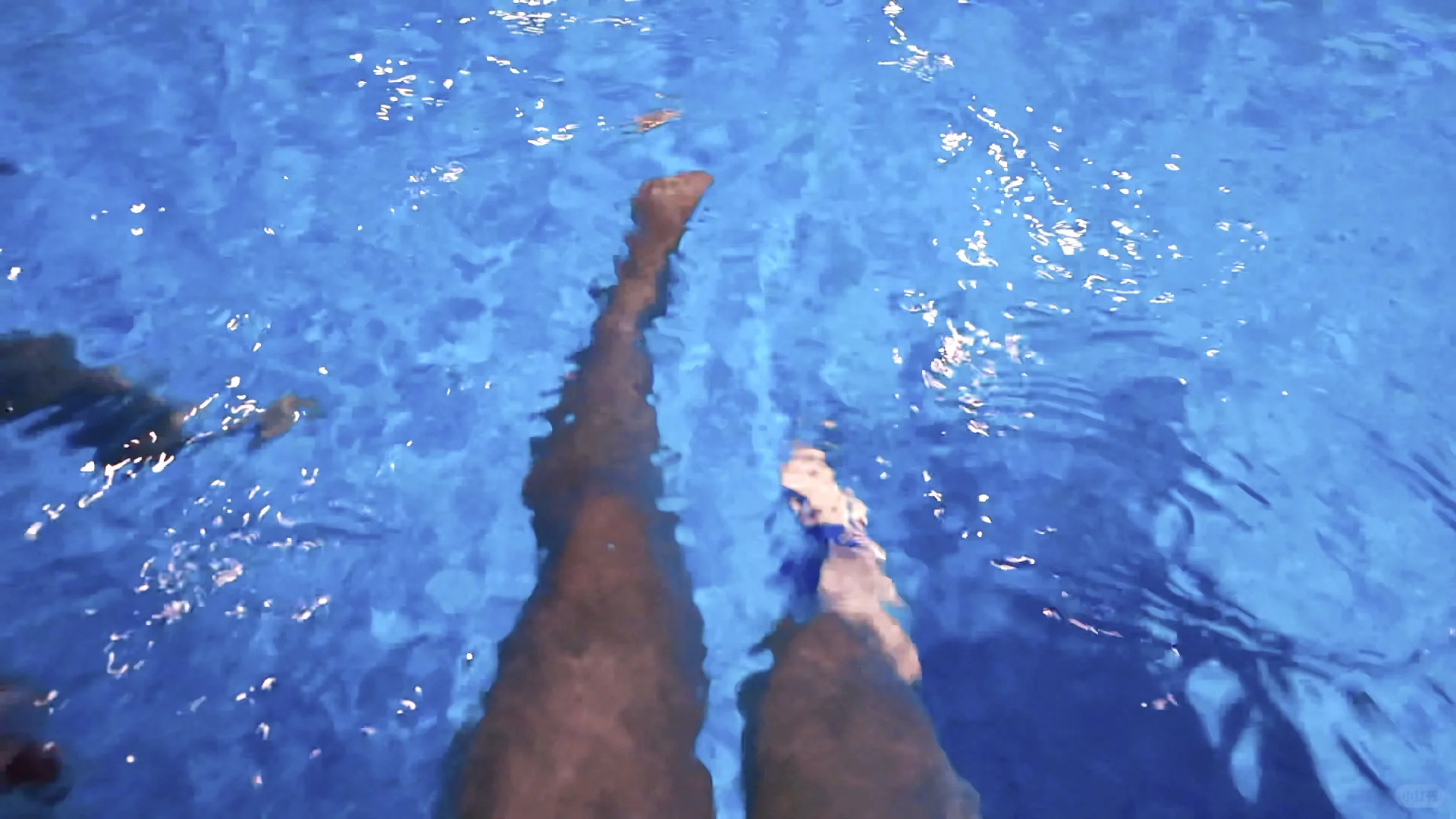 快来和我一起游泳吧