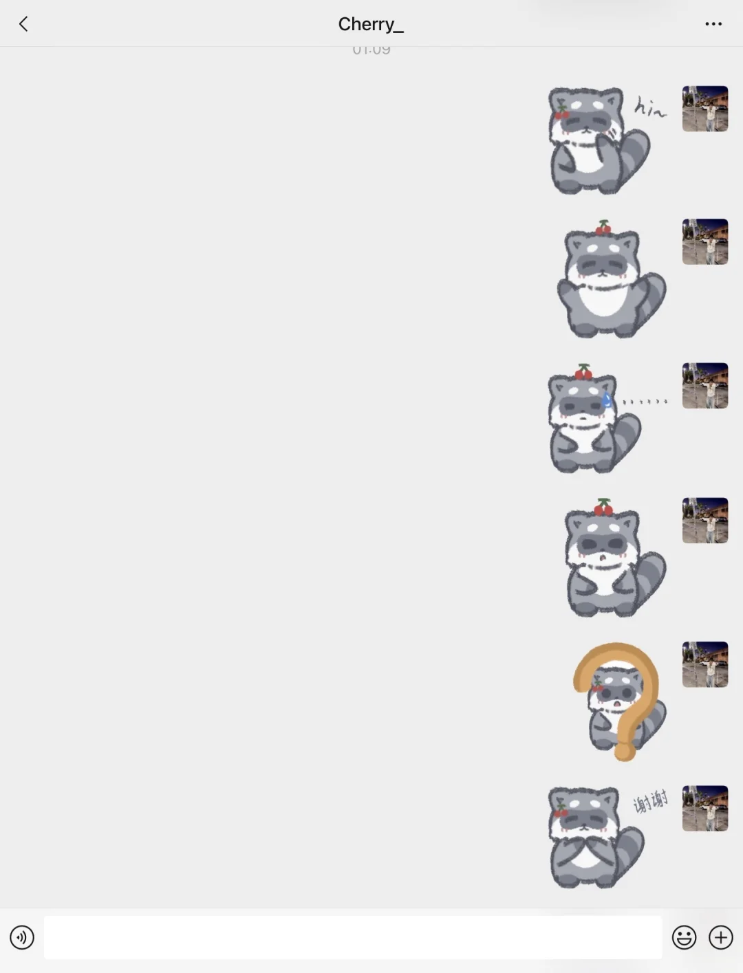 澈哩小浣熊表情包🦝