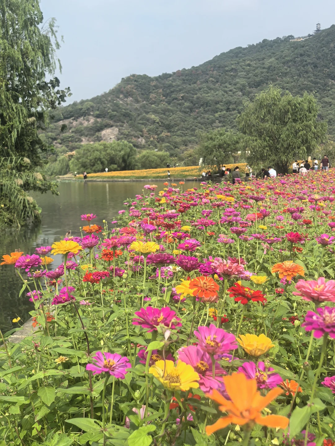 杭州人有自己的「阿勒泰」