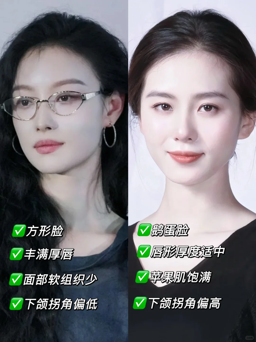 红白玫瑰：一半艳丽，一半温婉