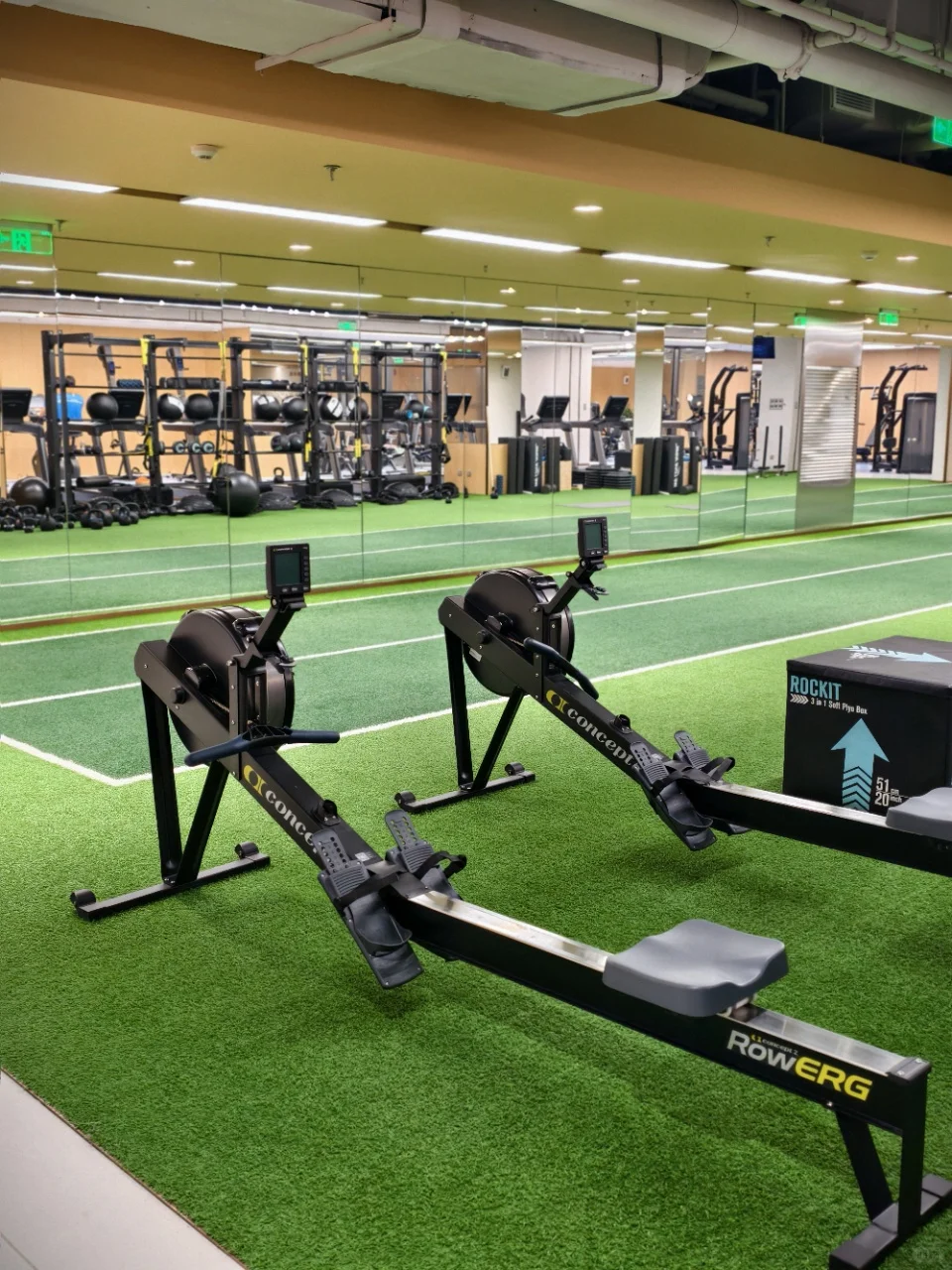 每日打卡，重塑自我！