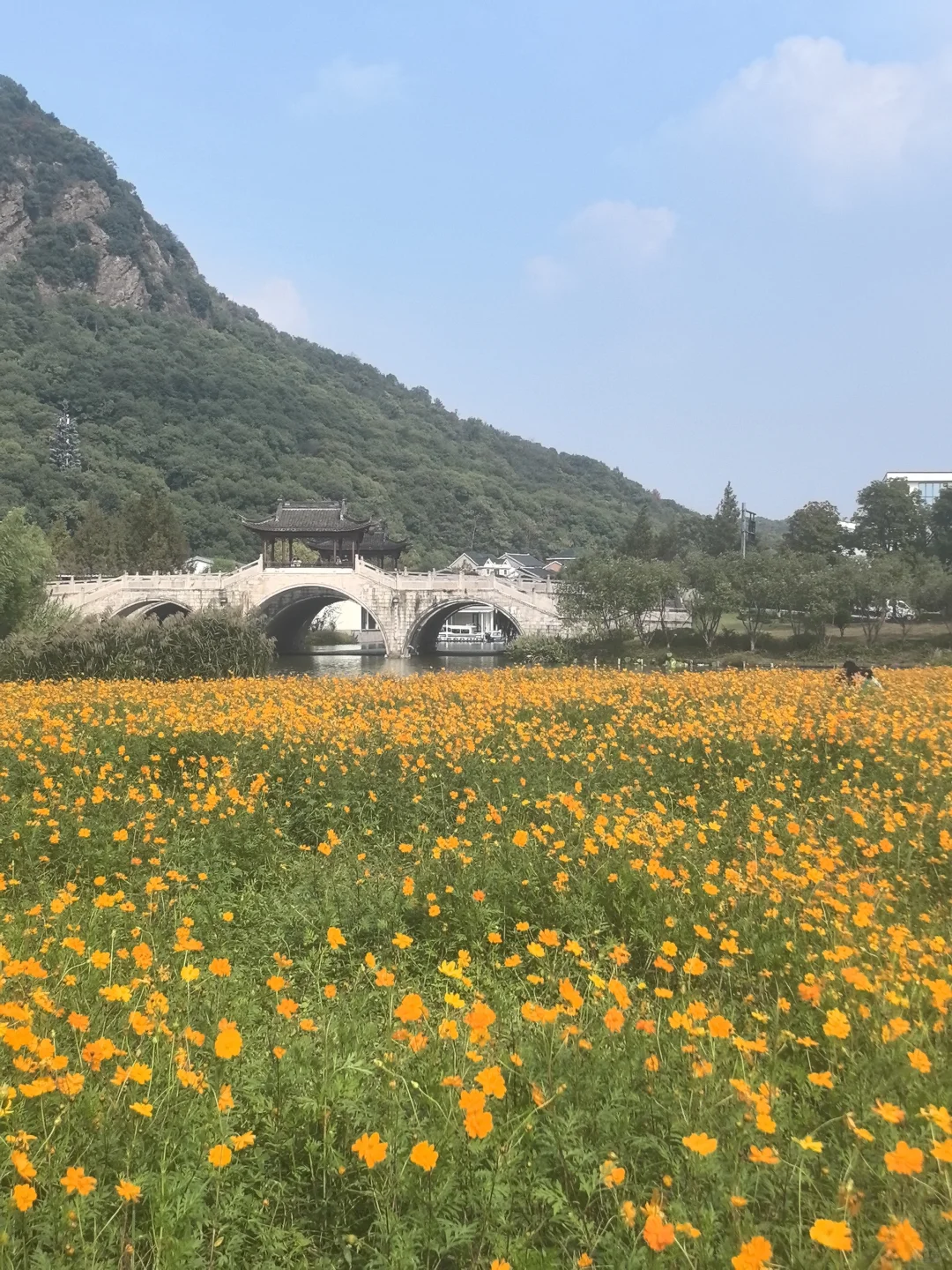 杭州人有自己的「阿勒泰」