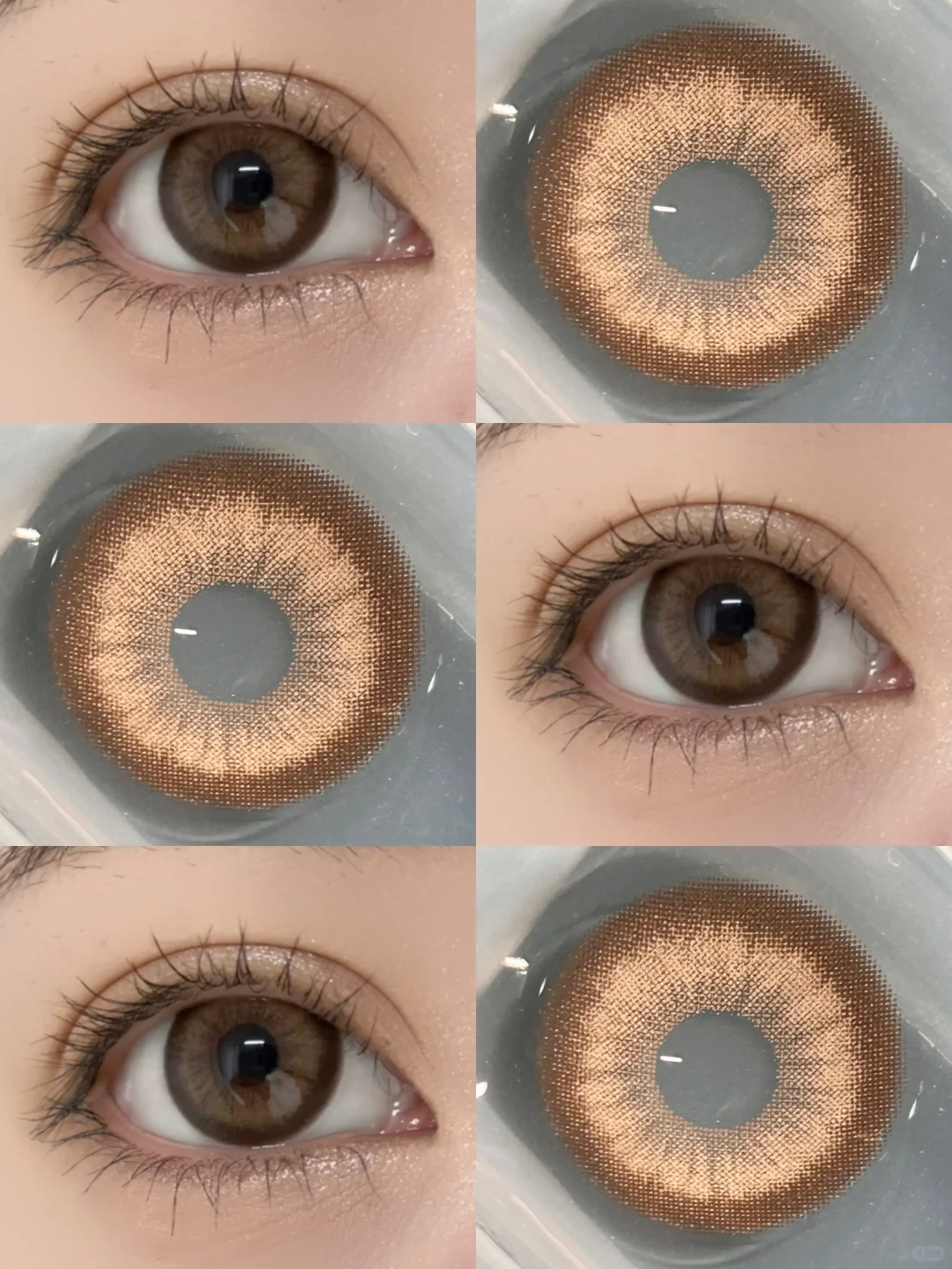 baby早期混血感大直径！超显贵！