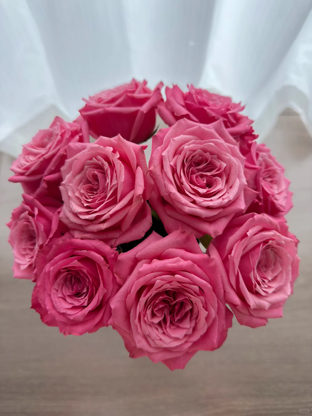 是谁出落得这么娇艳明媚啊！