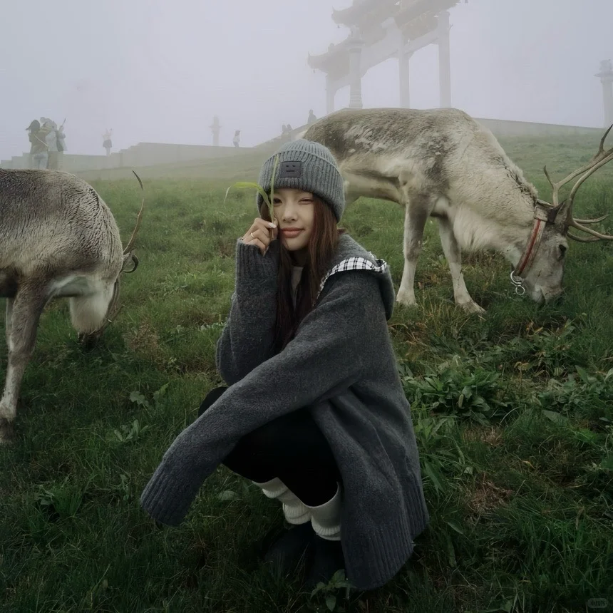 活力少女的头像大赏📸