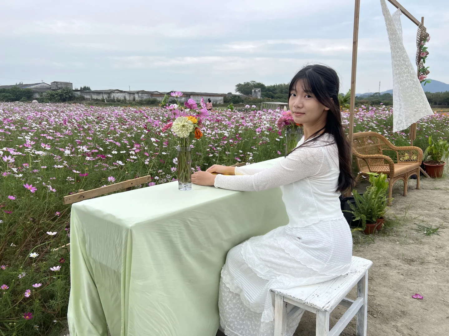 广州乡村！格桑花海秘境｜附拍照全攻略