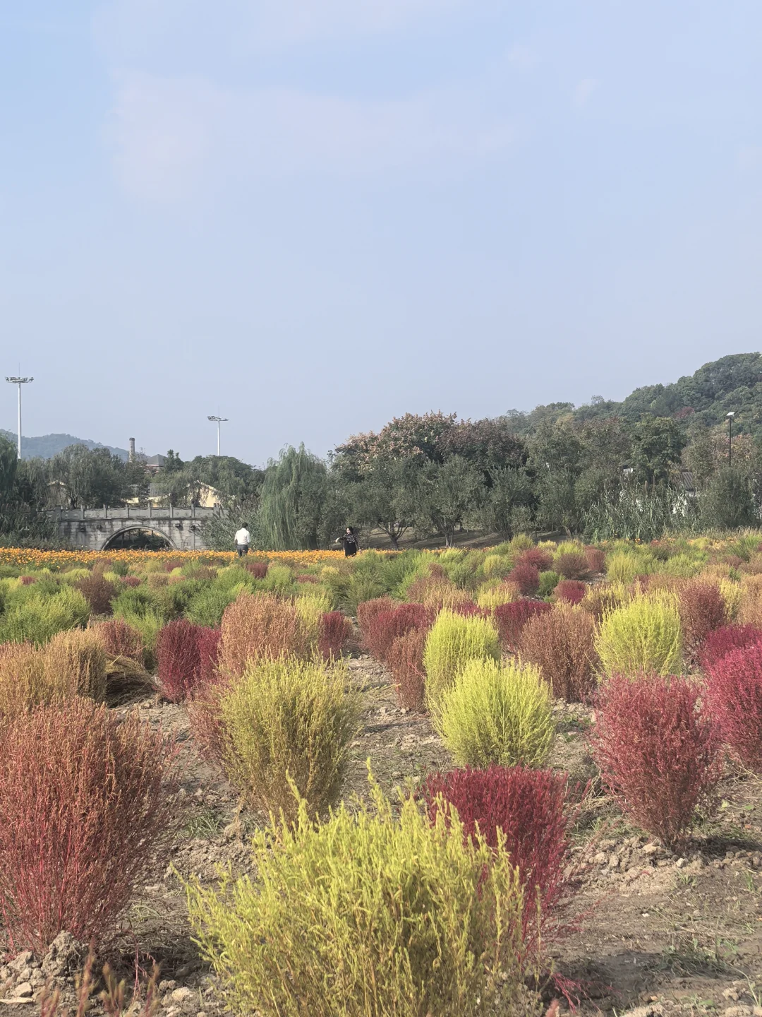 杭州人有自己的「阿勒泰」