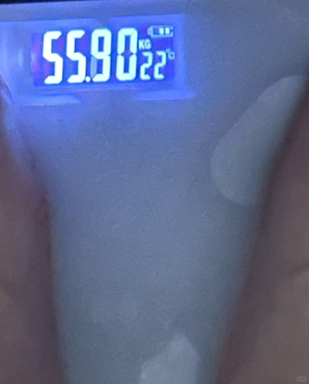 178/56 减脂40斤干货分享