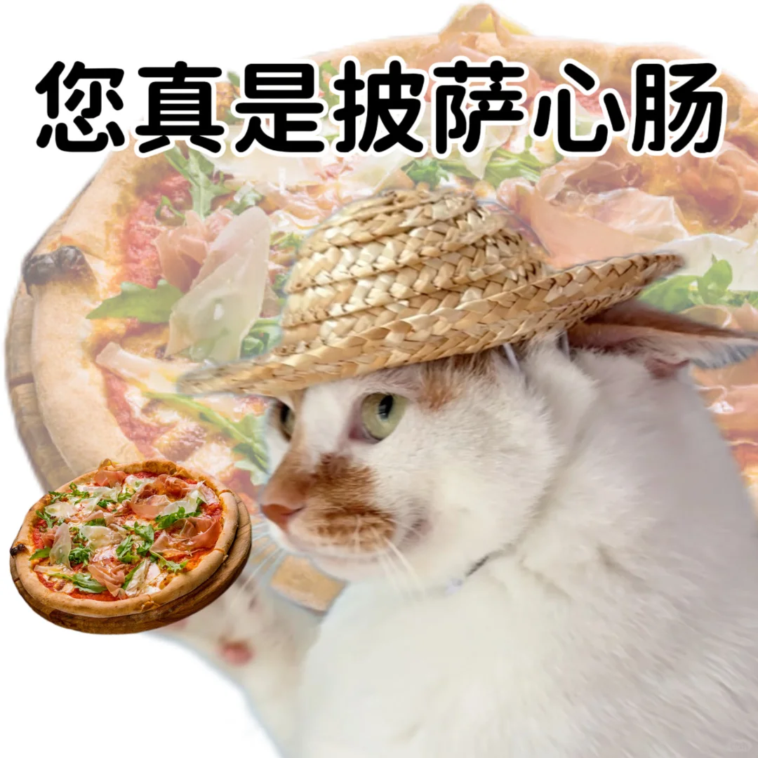 小猫演绎食物谐音梗