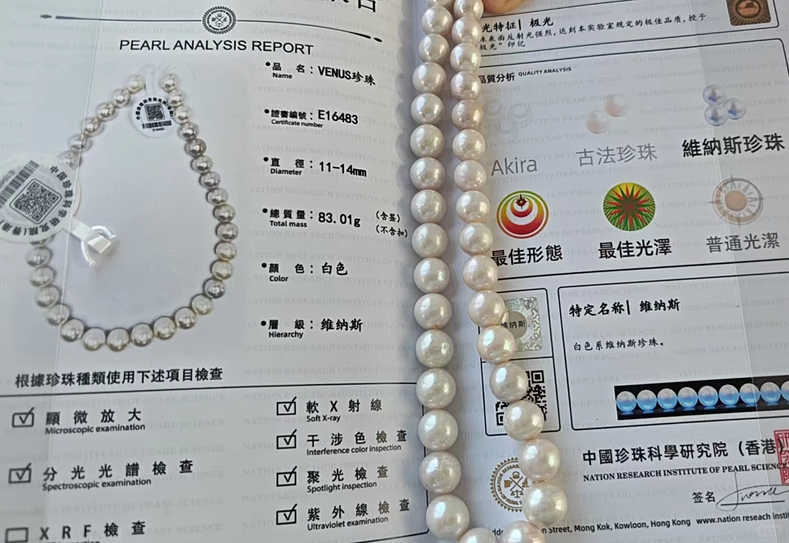 ÷天然有核珍珠11至14