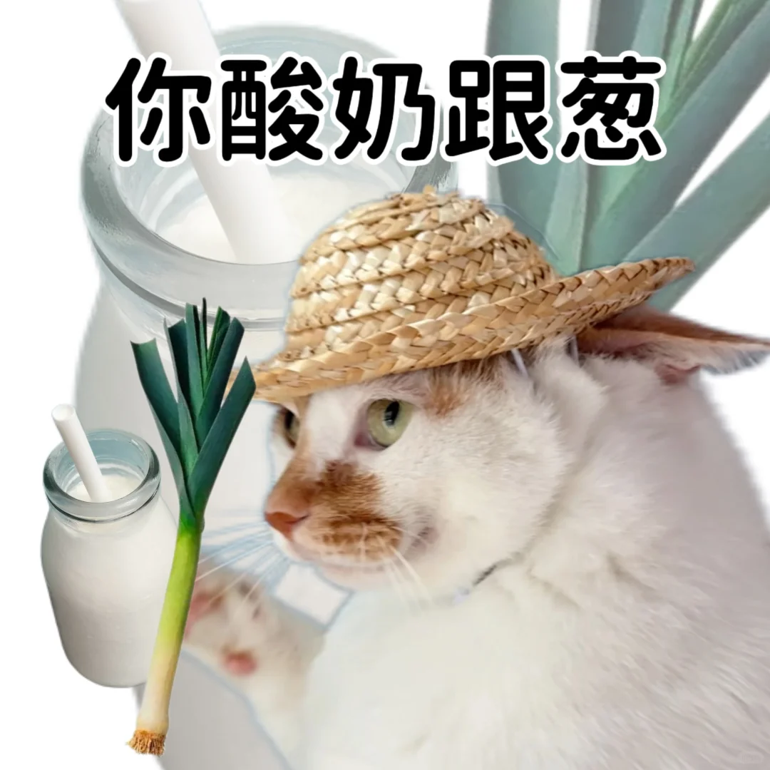 小猫演绎食物谐音梗