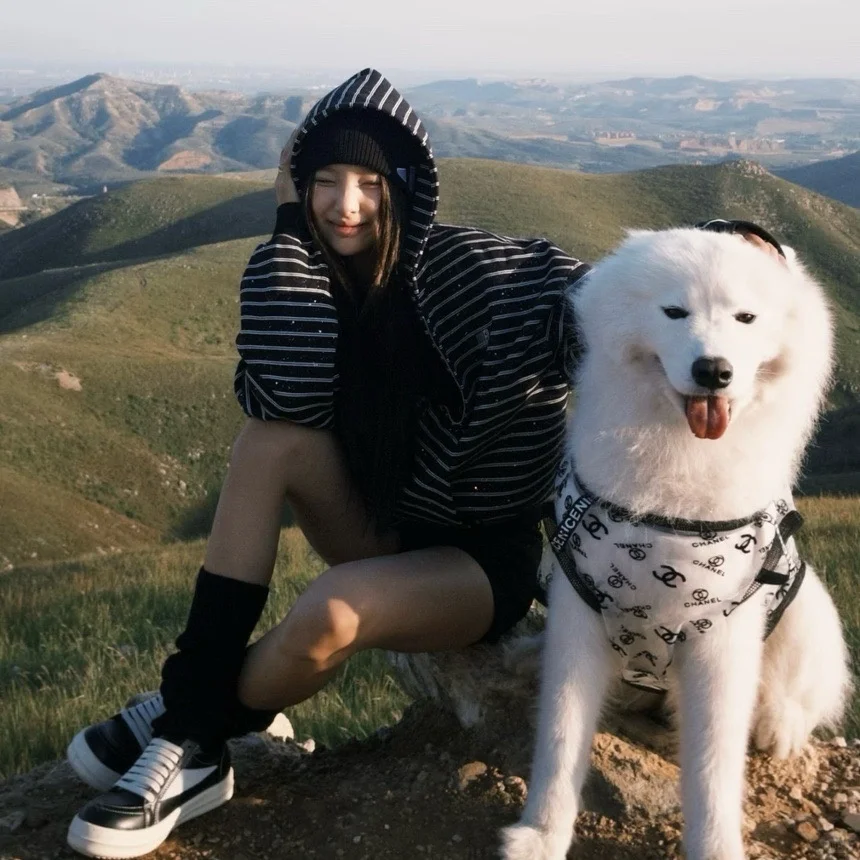 活力少女的头像大赏📸